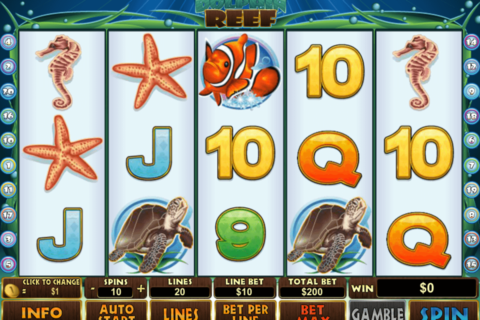 dolphin reef playtech casino slot spel 
