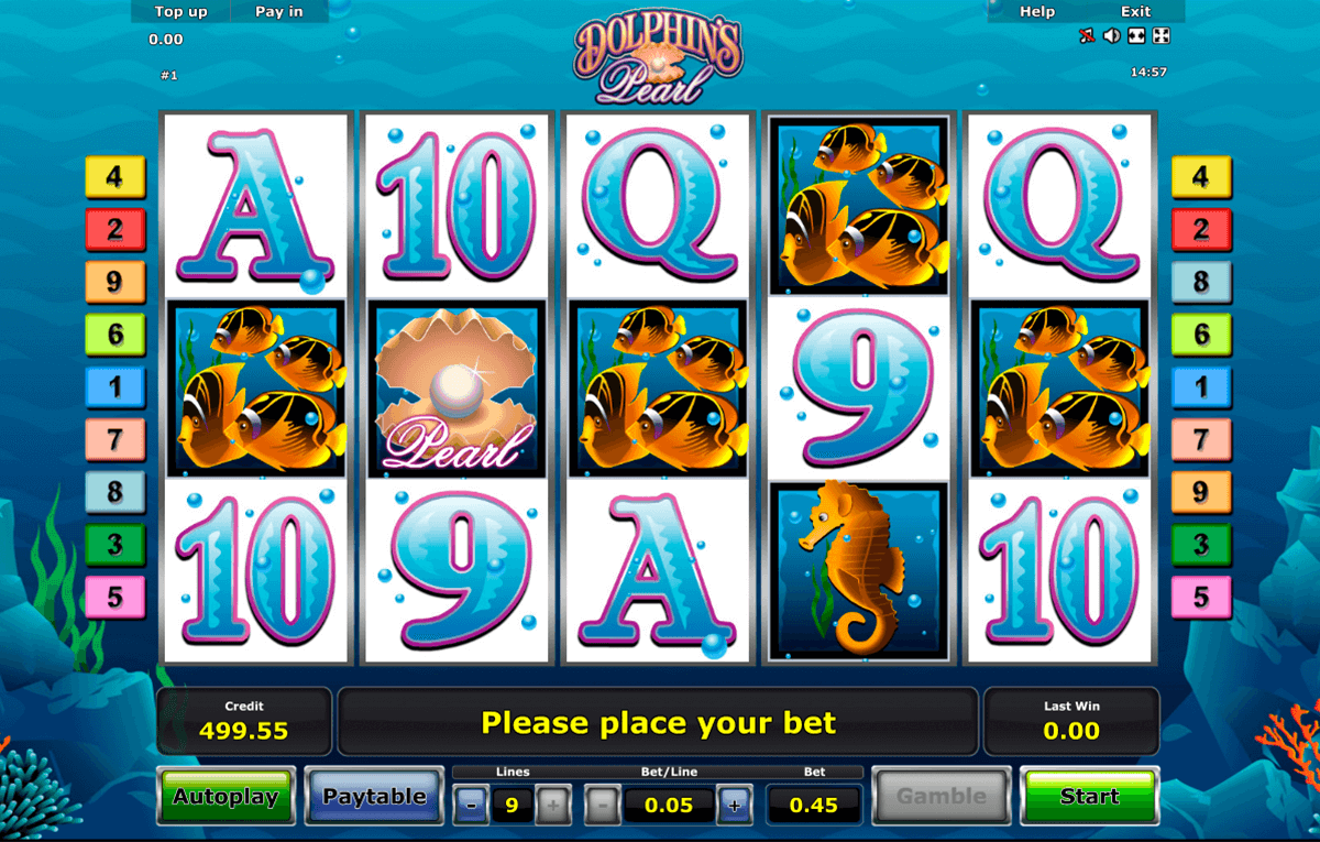 dolphins pearl novomatic casino slot spel 