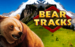 logo bear tracks novomatic spelauatomat 