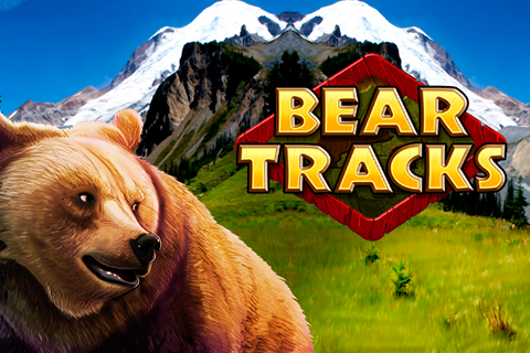 Bear Tracks online logo bear tracks novomatic