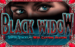 logo black widow igt spelauatomat 