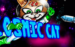 logo cosmic cat microgaming spelauatomat 