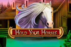 logo hold your horses novomatic spelauatomat 