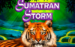 logo sumatran storm igt spelauatomat 