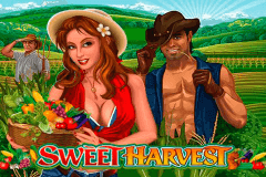 logo sweet harvest microgaming spelauatomat 