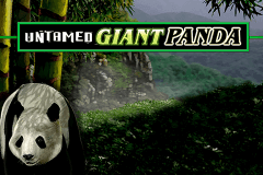 logo untamed giant panda microgaming spelauatomat 