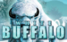 logo white buffalo microgaming 