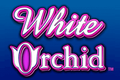 logo white orchid igt spelauatomat 