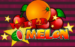 logo wild melon playn go spelauatomat 