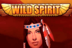 logo wild spirit playtech spelauatomat 
