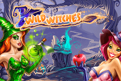 logo wild witches netent spelauatomat 