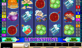 moonshine microgaming casino slot spel 