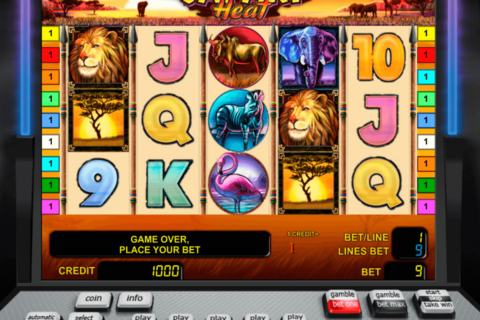 safari heat novomatic casino slot spel 