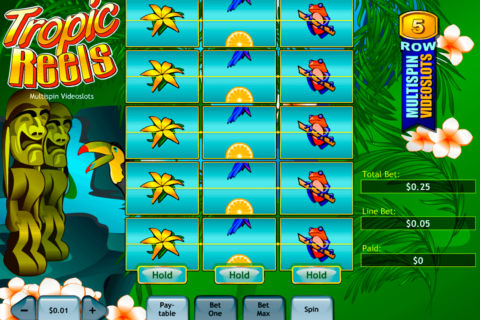 tropic reels playtech casino slot spel 