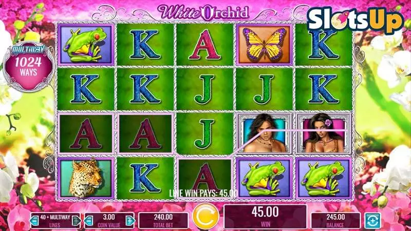 white orchid slot online.jpg