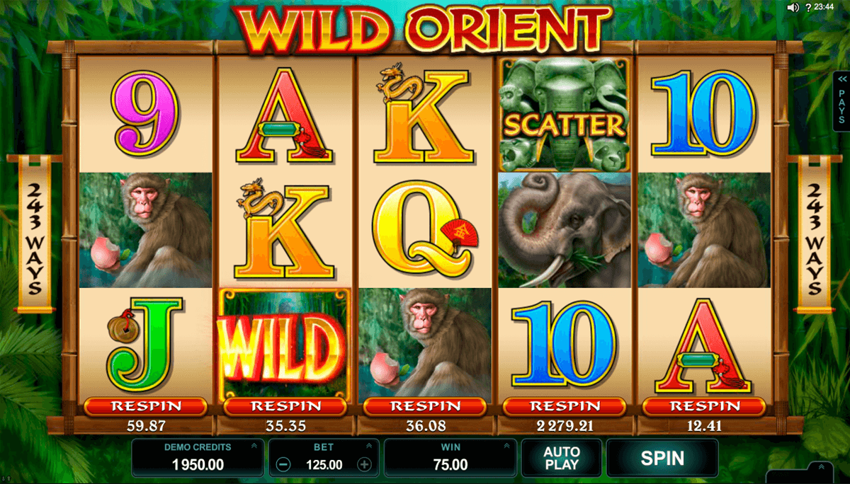 wild orient microgaming casino slot spel 